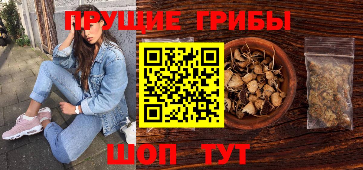 Псилоцибиновые грибы мицелий Архангельск